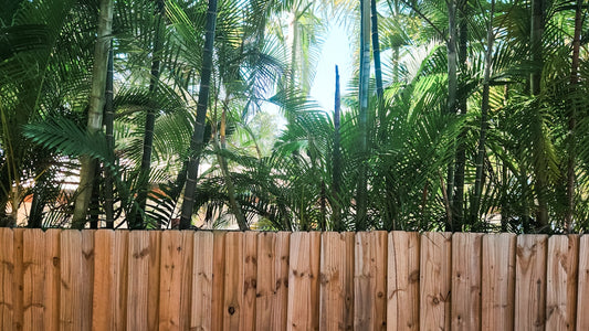 A wooden fence with palm trees in the background